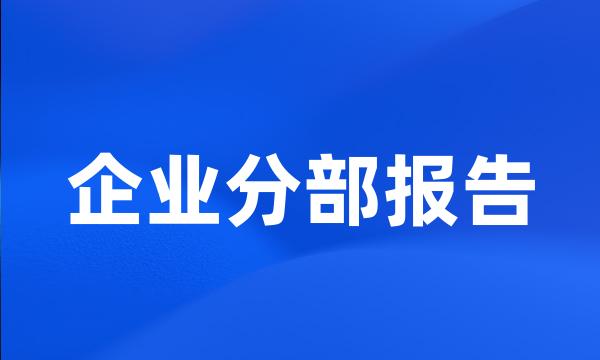 企业分部报告