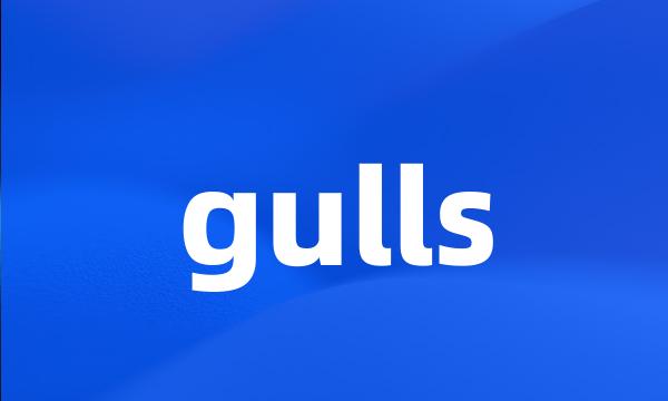 gulls