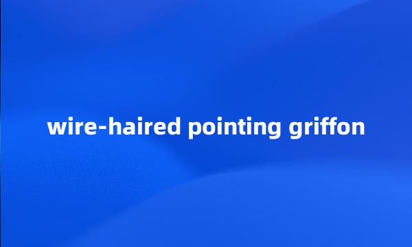 wire-haired pointing griffon