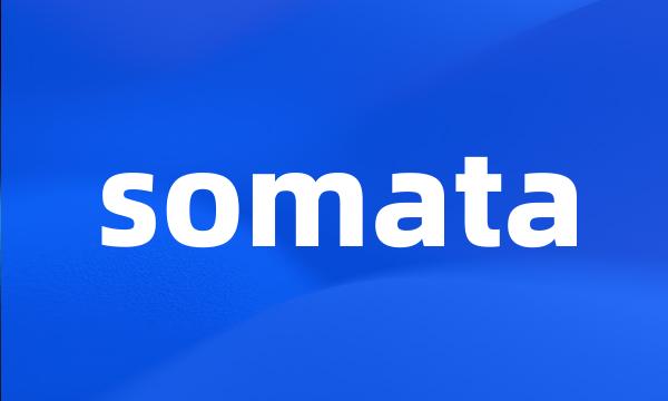 somata