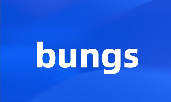 bungs