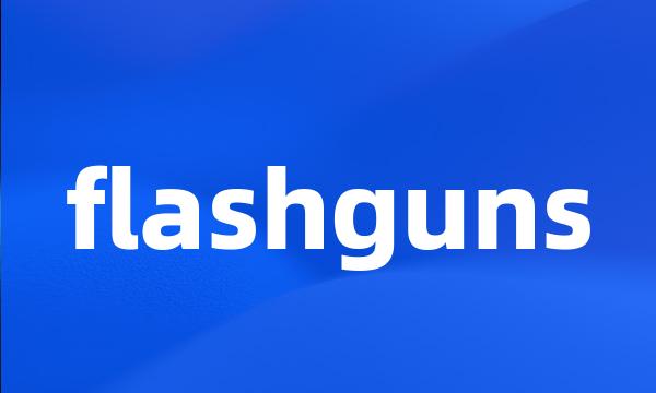 flashguns