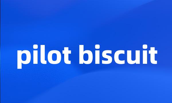 pilot biscuit