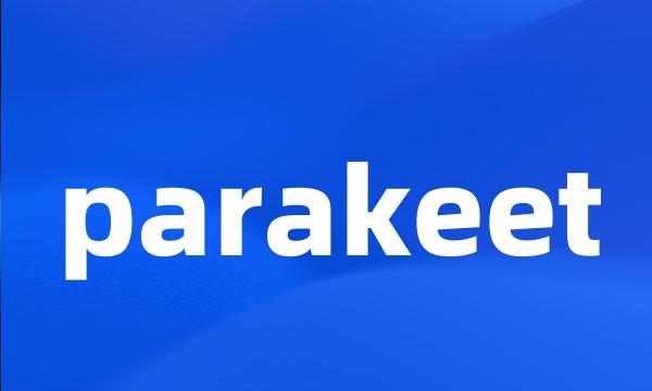 parakeet