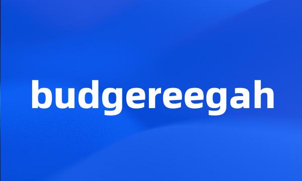 budgereegah