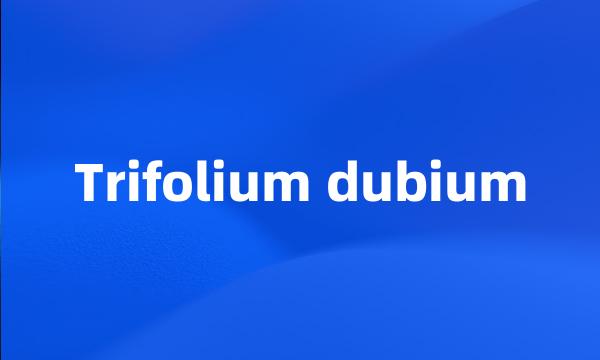 Trifolium dubium