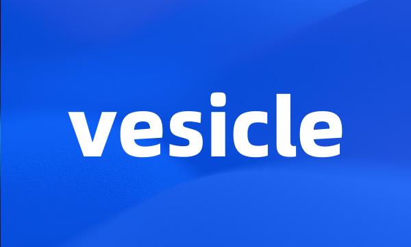 vesicle