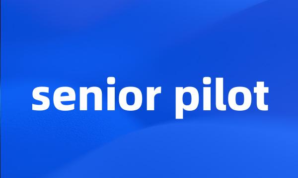 senior pilot