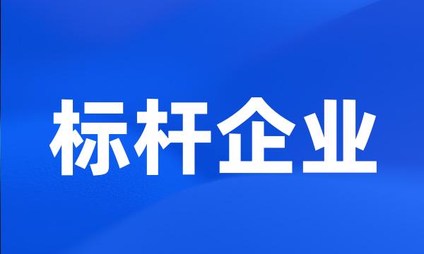 标杆企业