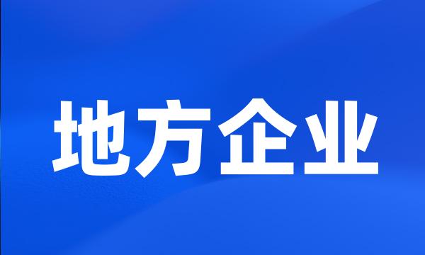 地方企业