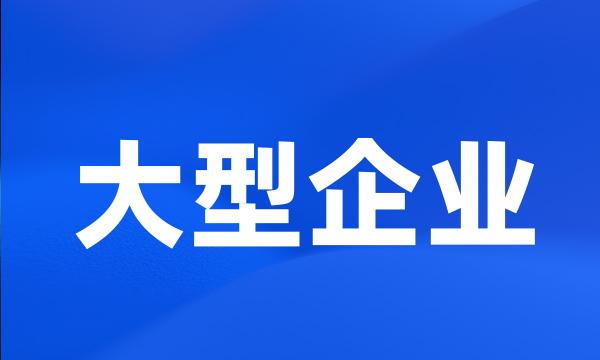 大型企业