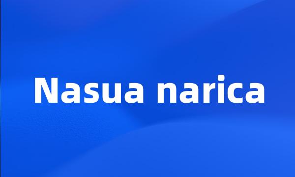 Nasua narica