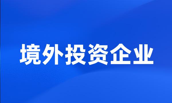 境外投资企业