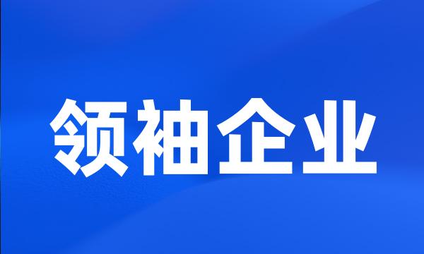 领袖企业