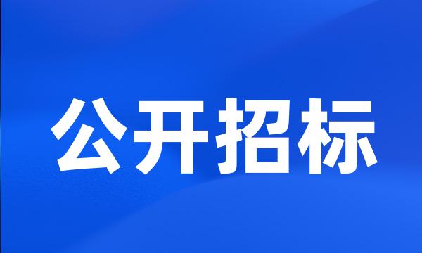 公开招标