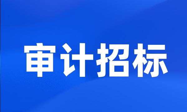 审计招标