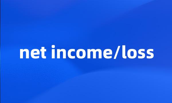 net income/loss