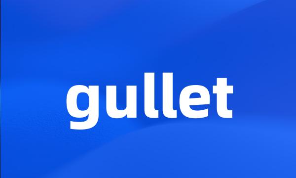 gullet