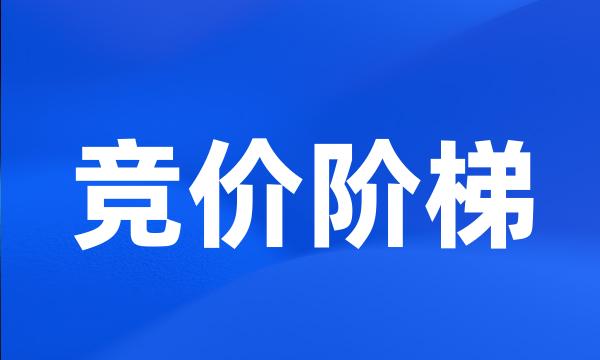 竞价阶梯