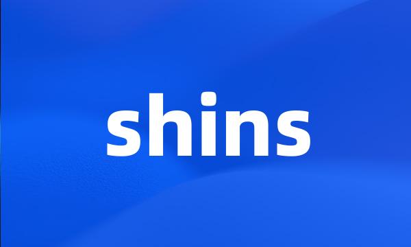 shins