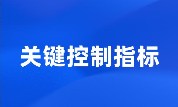 关键控制指标