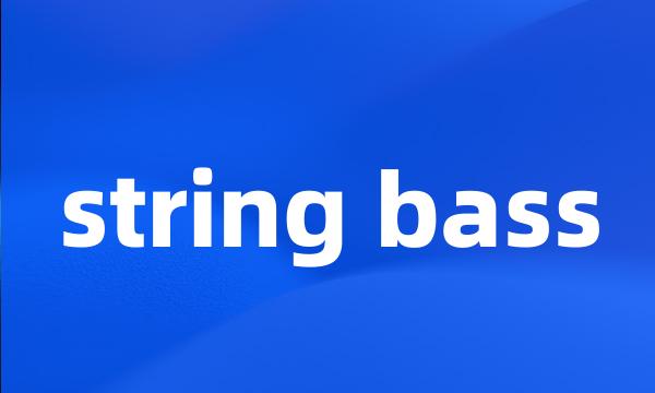 string bass