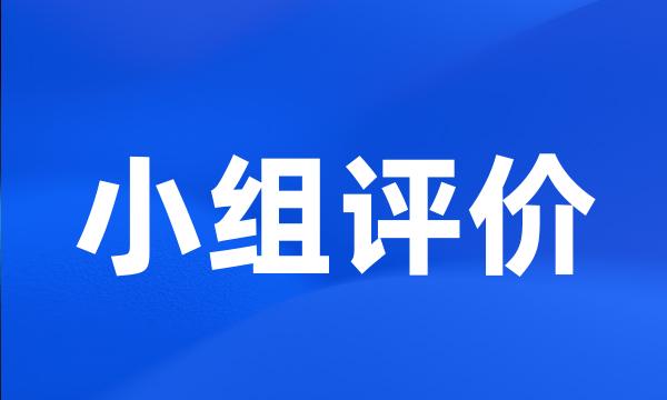 小组评价