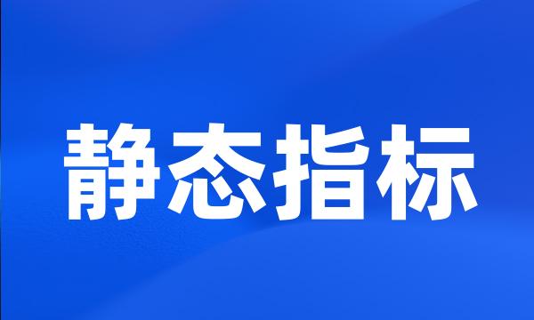 静态指标