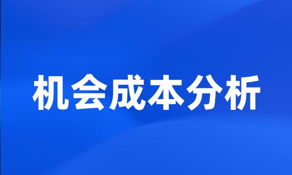 机会成本分析