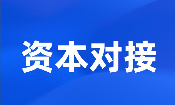 资本对接