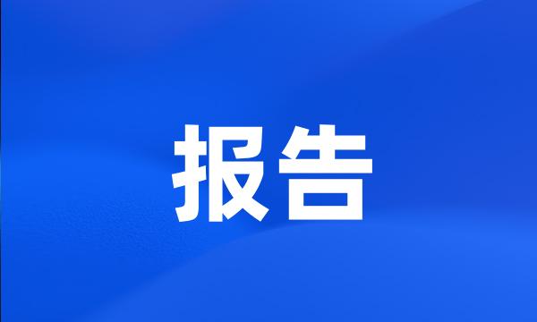 报告