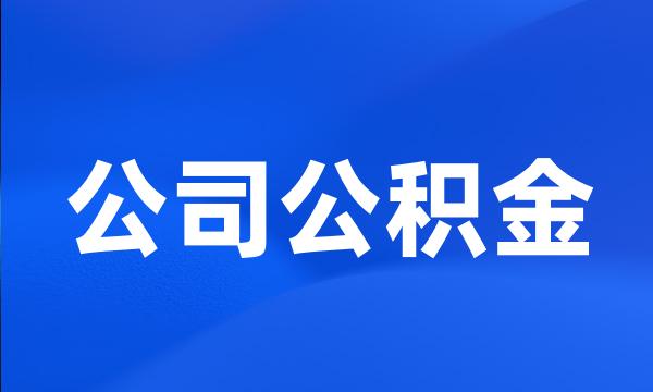 公司公积金