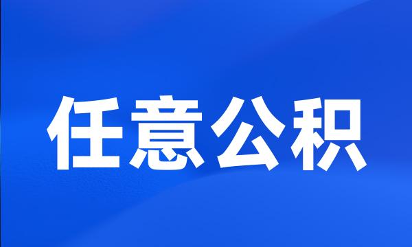 任意公积