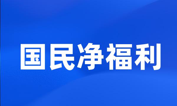 国民净福利