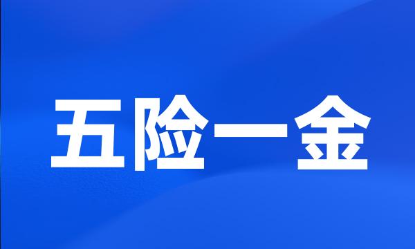 五险一金