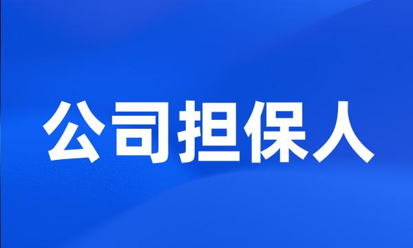 公司担保人