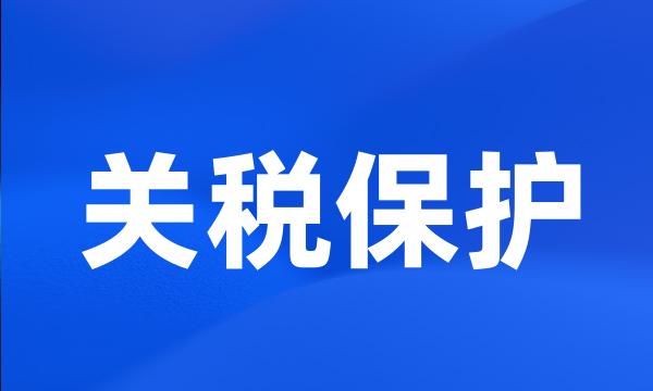 关税保护