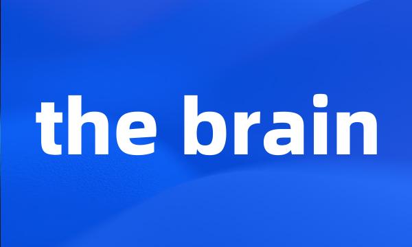 the brain