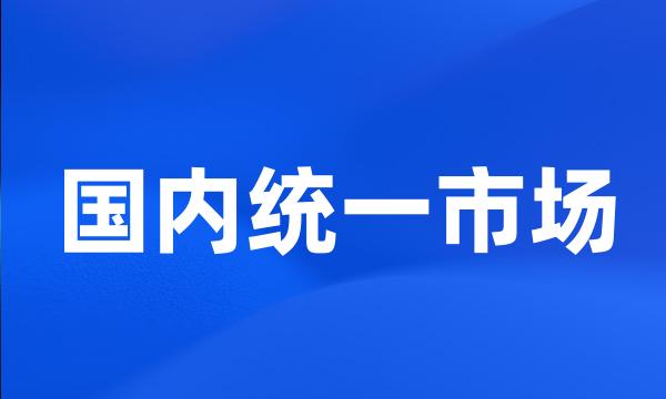 国内统一市场