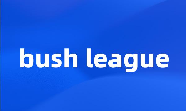 bush league