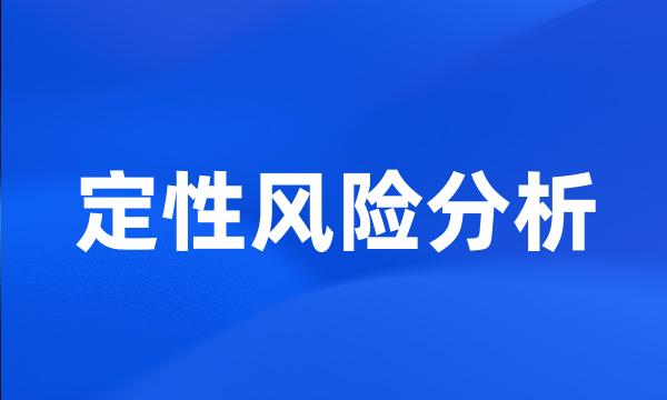 定性风险分析