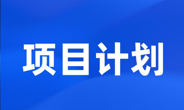 项目计划