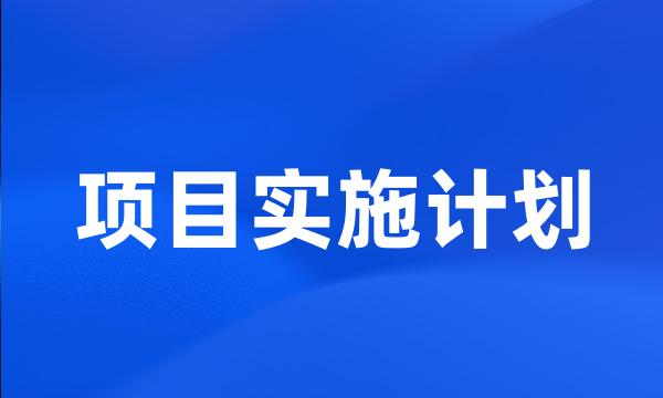 项目实施计划