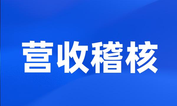 营收稽核