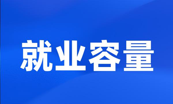 就业容量