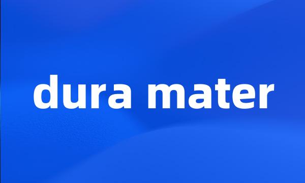 dura mater