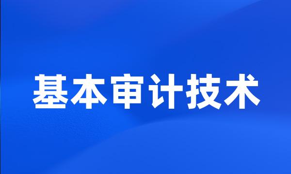 基本审计技术