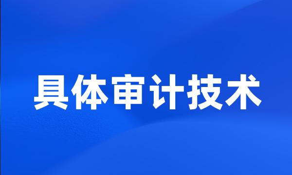 具体审计技术