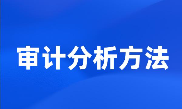 审计分析方法