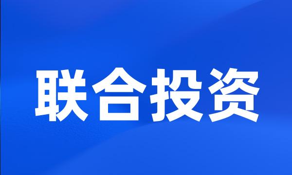 联合投资